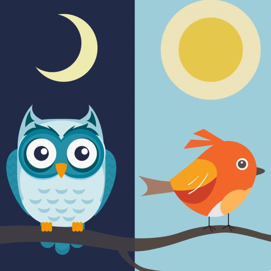 produttività personale mattiniero o nottambulo?