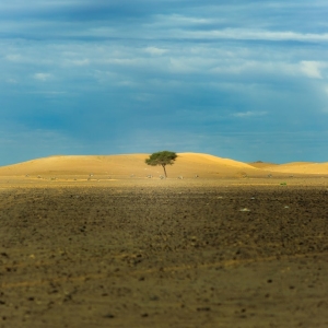 resilienza e grinta per crescere