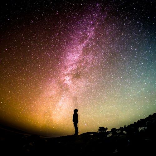 vita, significato e scopo