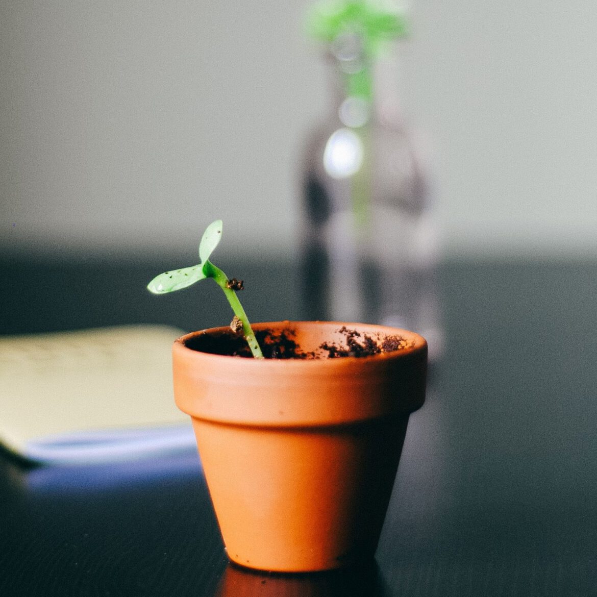 Pilastri Crescita Personale